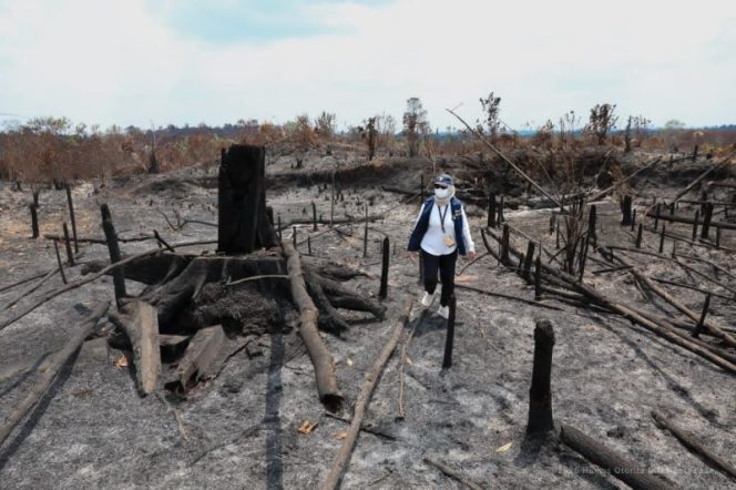 
					Karhutla Melanda Kawasan IKN, 458 Hektare Lahan Terdampak
